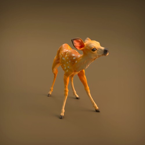35130420_resize-baby-deer-2.jpg