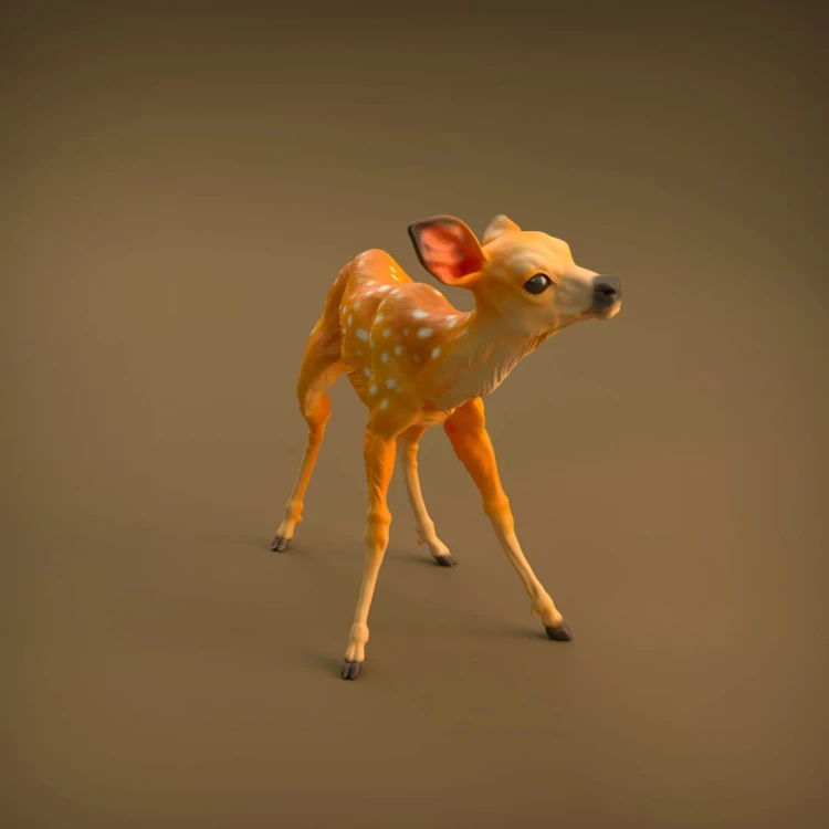 35130420_resize-baby-deer-2.jpg