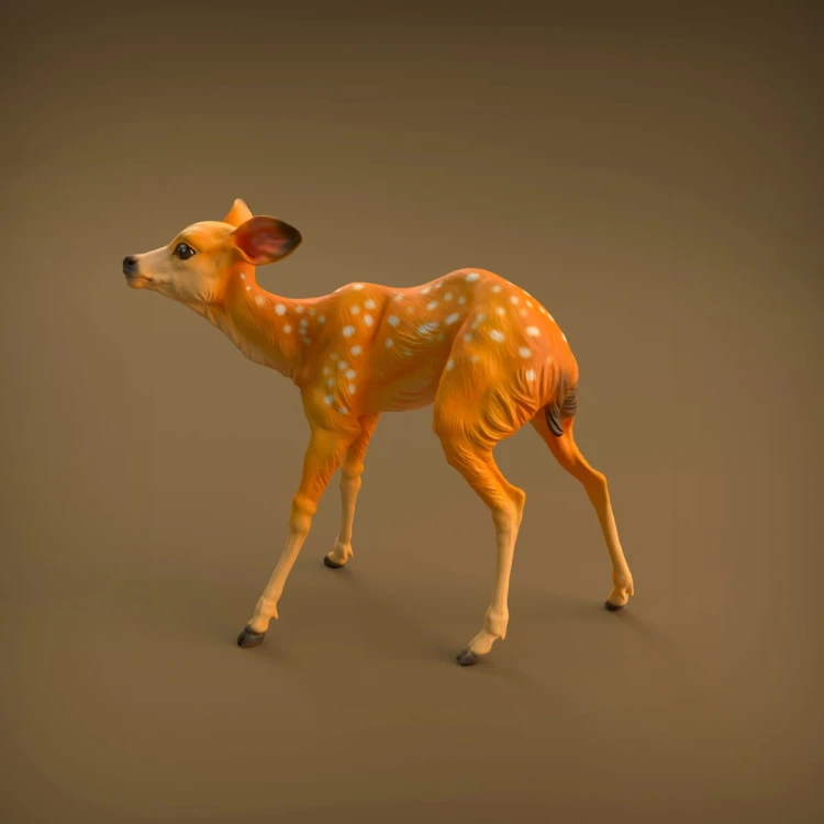 35130420_resize-baby-deer-6.jpg