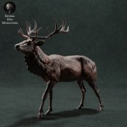 35130422_resize-red-deer-1.jpg