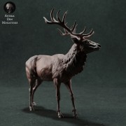 35130422_resize-red-deer-2.jpg