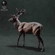 35130422_resize-red-deer-4.jpg