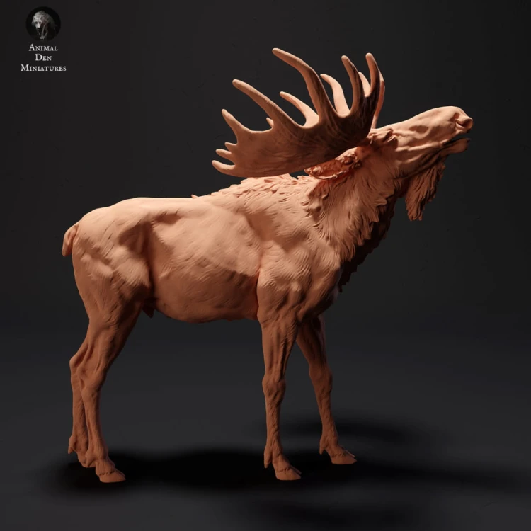 35130425_resize-moose-call-1.jpg
