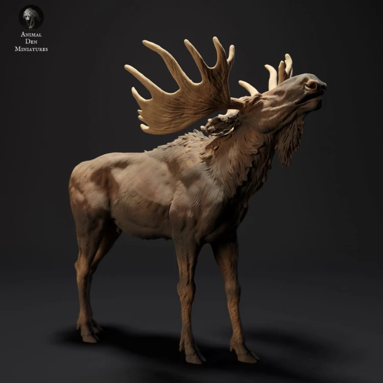 35130425_resize-moose-call-3.jpg