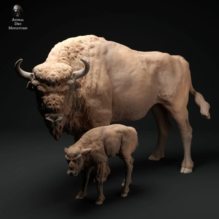 35130426_resize-eu-bison-cow-and-calf-3.jpg