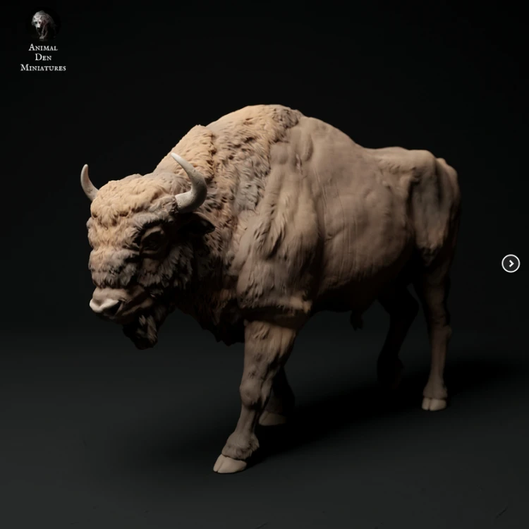 35130430_40_European Bison.png