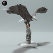 35130527_resize-bald-eagle-stand-1.jpg