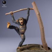 35130229_baby_chimp_3.jpg