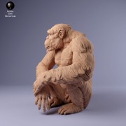 35130230_chimp_male_sit_1.jpg