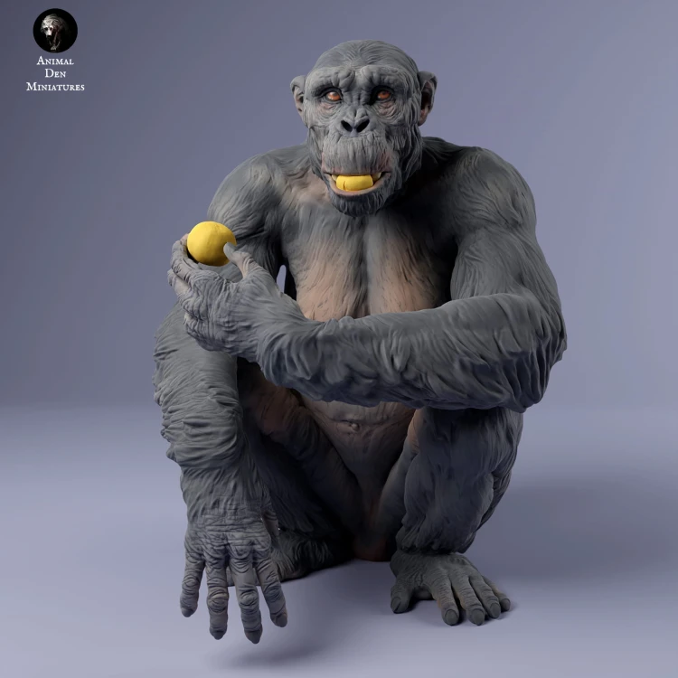 35130227_chimp_female_eat_3.jpg