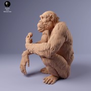 35130227_chimp_female_eat_2.jpg