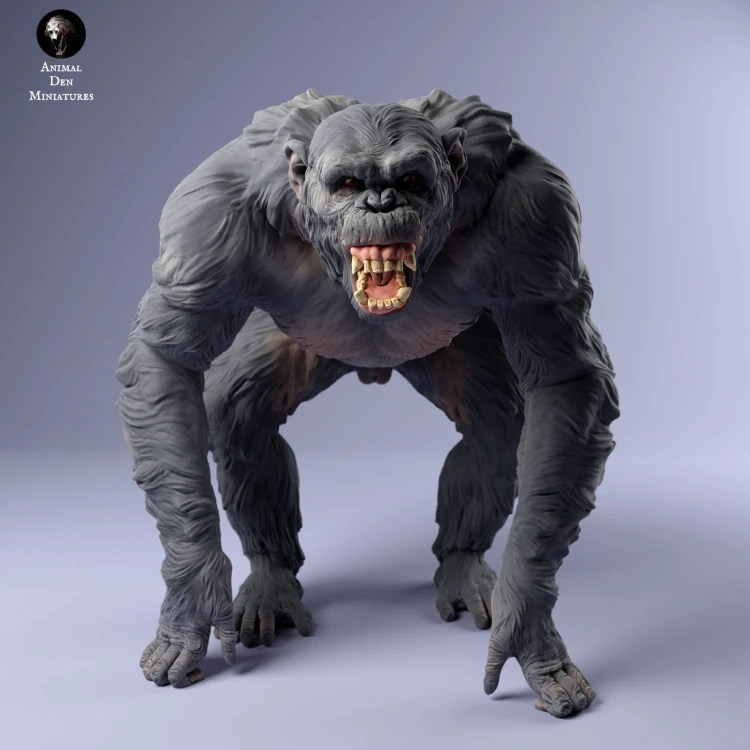 35130226_chimp_aggresive_3.jpg
