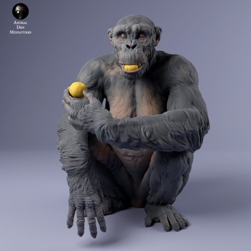 35130227_chimp_female_eat_3.jpg