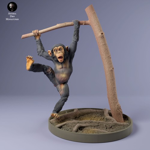 35130229_baby_chimp_4.jpg