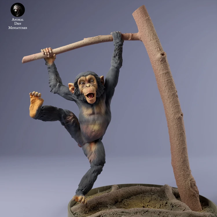 35130229_baby_chimp_3.jpg