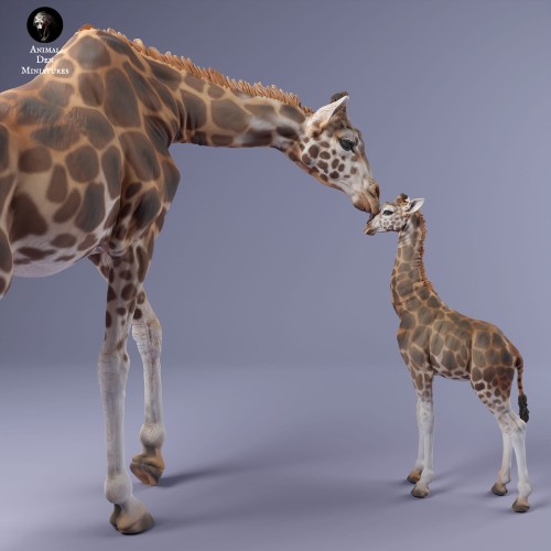 35130233_giraffe_female_and_calf_4.jpg