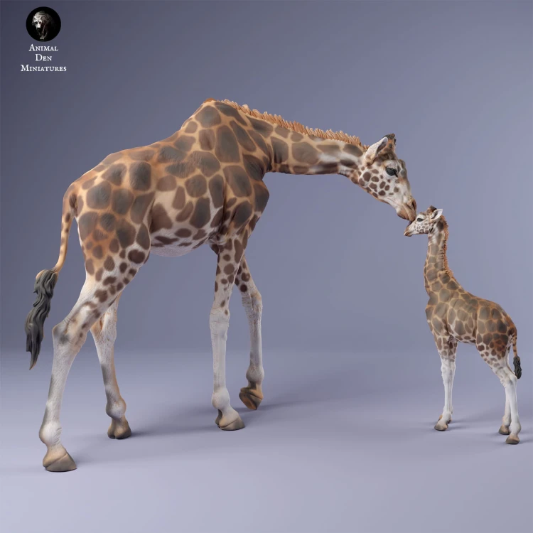 35130233_giraffe_female_and_calf_5.jpg