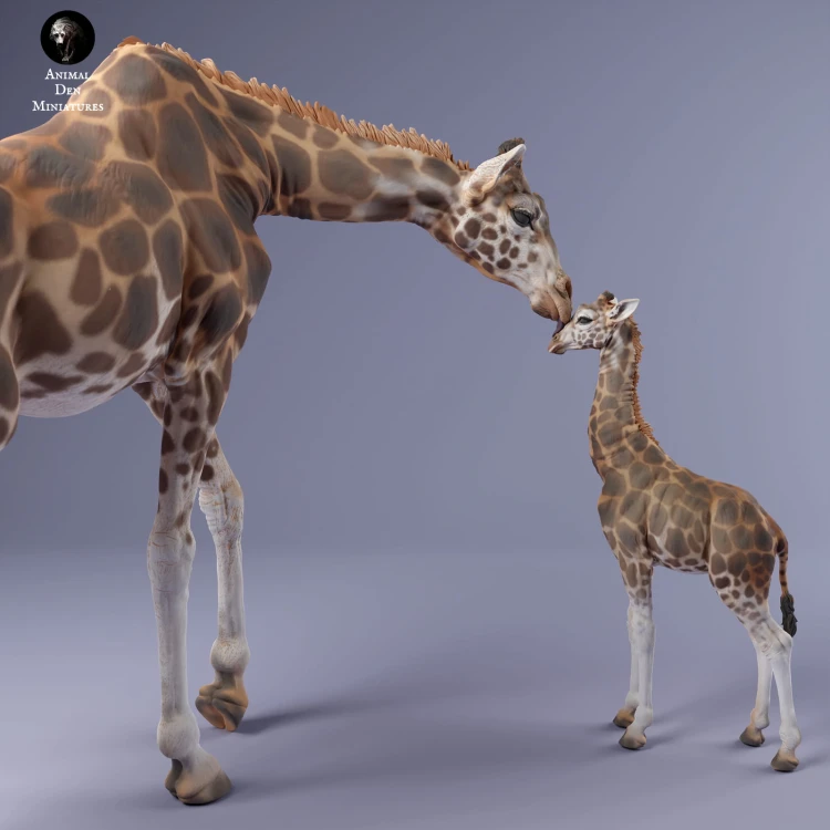 35130233_giraffe_female_and_calf_4.jpg