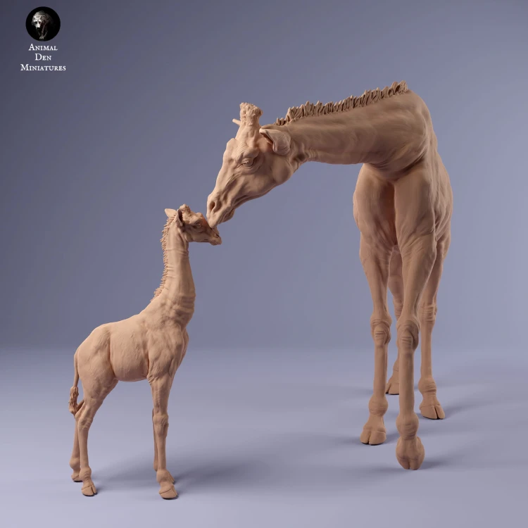 35130233_giraffe_female_and_calf_2.jpg