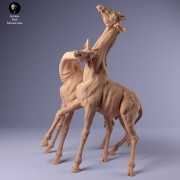 35130235_giraffe_fight_2.jpg