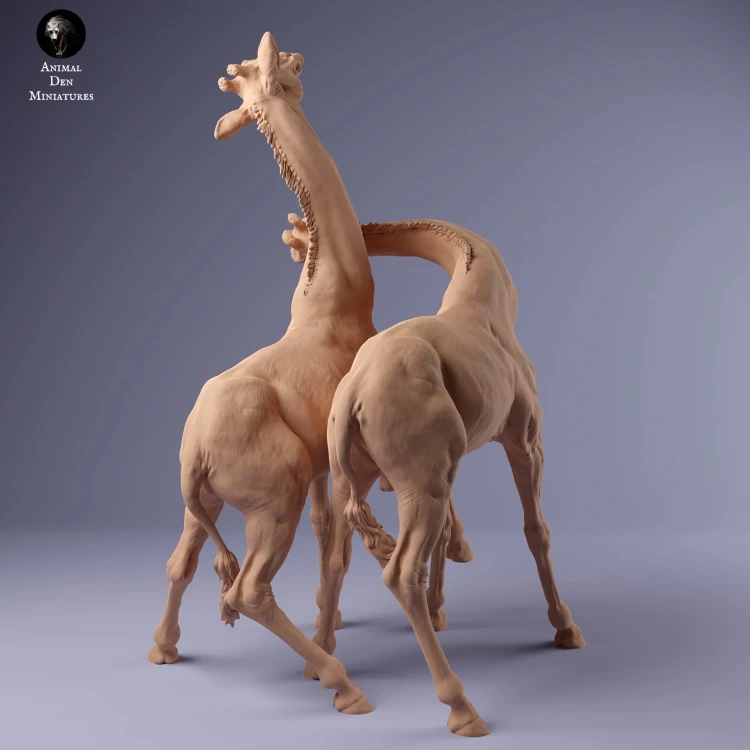 35130235_giraffe_fight_1.jpg