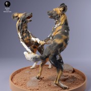 35130236_Painted Dogs Play 3.jpg