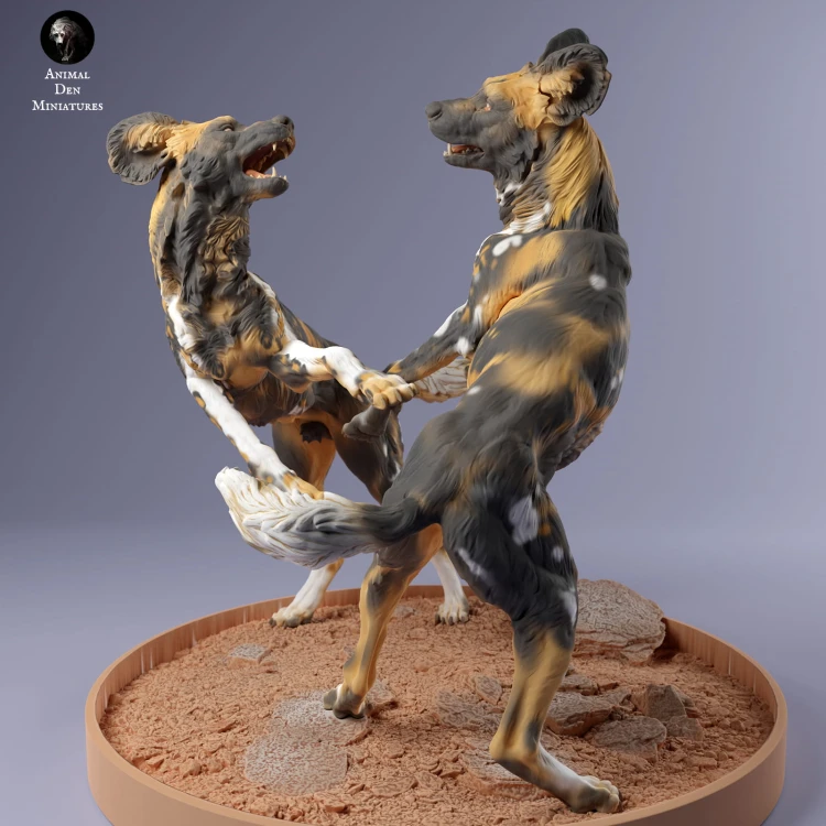 35130236_Painted Dogs Play 3.jpg
