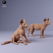35130237_Painted Dogs Puppies 1.jpg