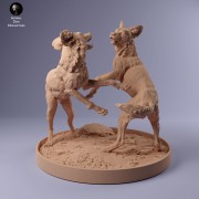35130236_Painted Dogs Play 2.jpg
