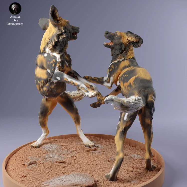 35130236_Painted Dogs Play 4.jpg