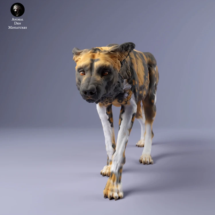 35130238_Painted Dogs Female Sneak 3.jpg