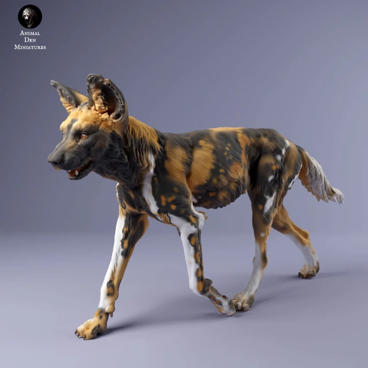 35130239_Painted Dogs Female Walk 3.jpg