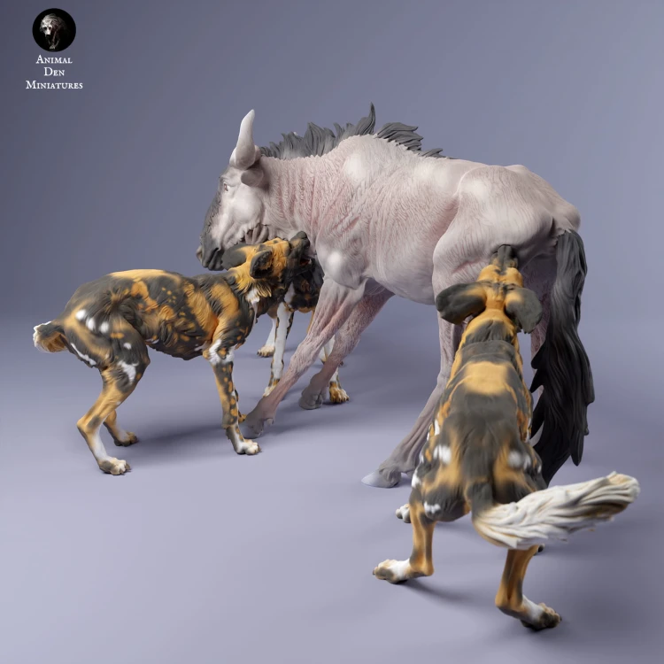 35130240_Painted Dogs Hunt 5.jpg