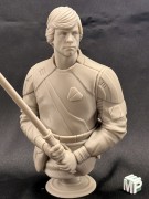 Fig_Luke_15cm.jpg