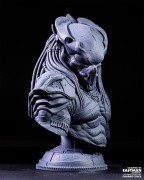 Predator_03.jpeg