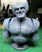 wolverine_print_3.jpg