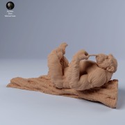 chimps_on_tree_2.jpg