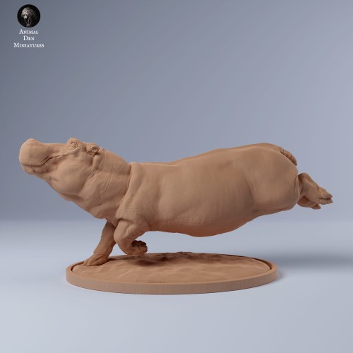 35130246_hippo_swim_1.jpg