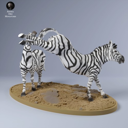 35130252_zebra_fight_3.jpg