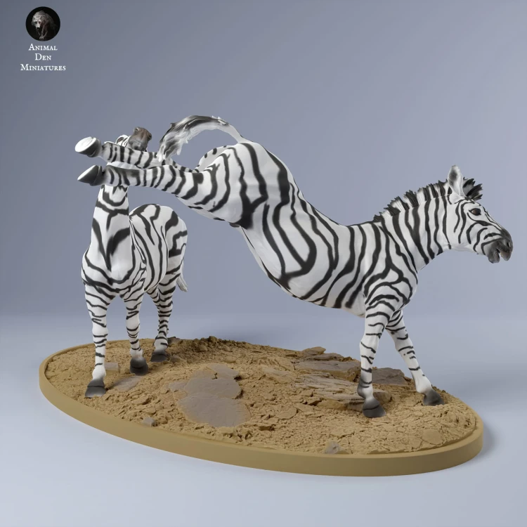 35130252_zebra_fight_3.jpg