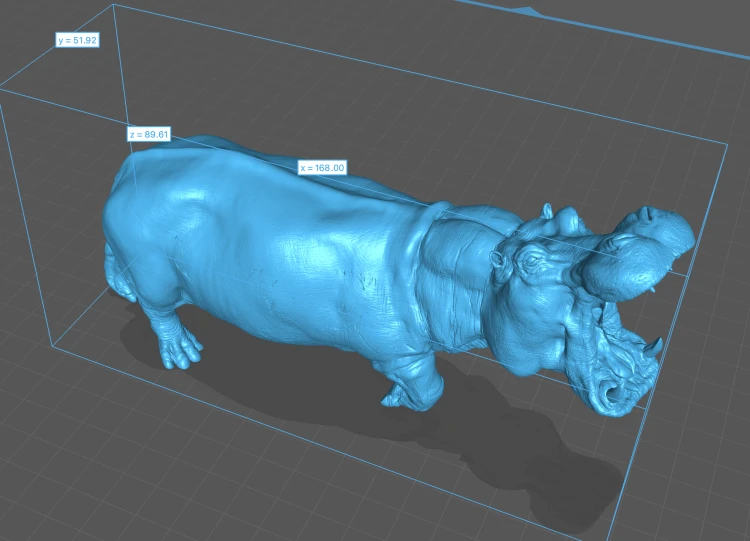 35130245_hippo_4.png
