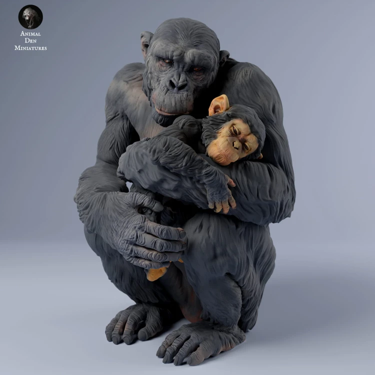 35130242_chimp_female_holds_baby_3.jpg