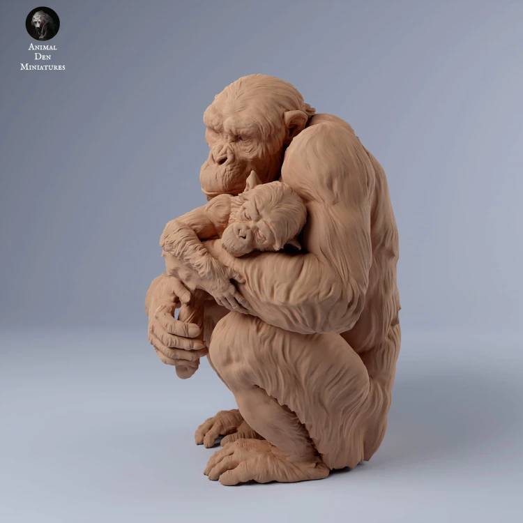 35130242_chimp_female_holds_baby_2.jpg