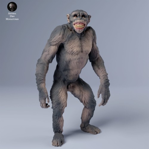 35130243_chimps_grin_3.jpg