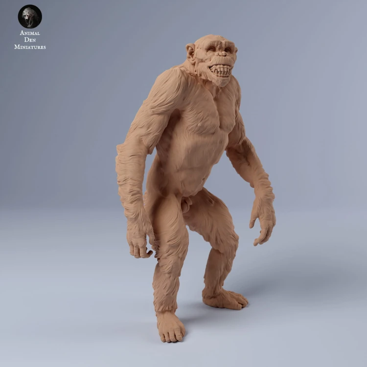35130243_chimps_grin_1.jpg