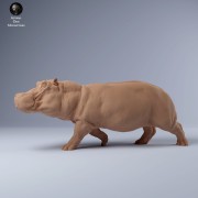 35130247_hippo_run_1.jpg