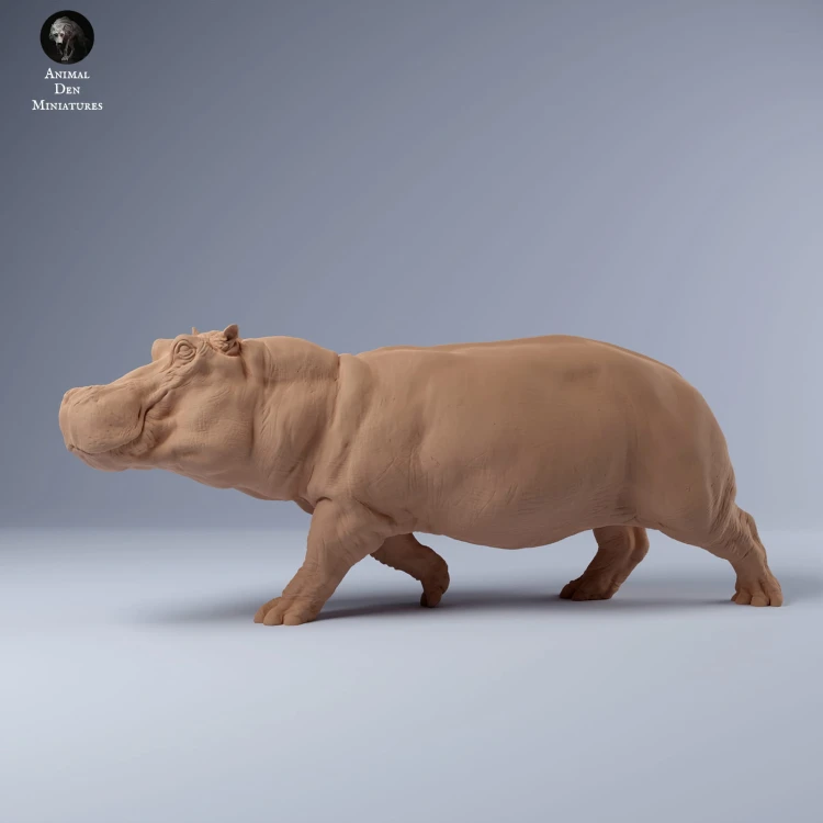 35130247_hippo_run_1.jpg