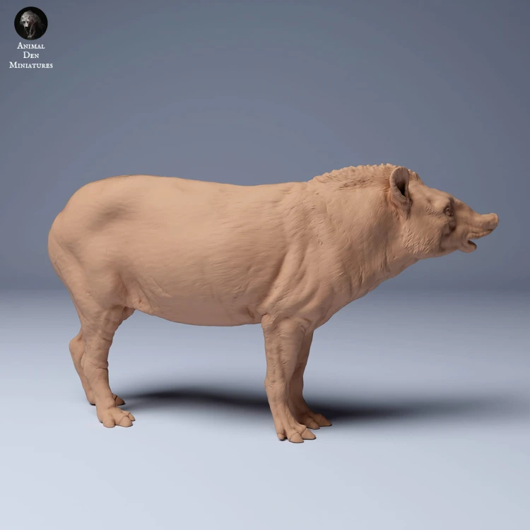 35130253_Brazillian_Tapir_1.jpg