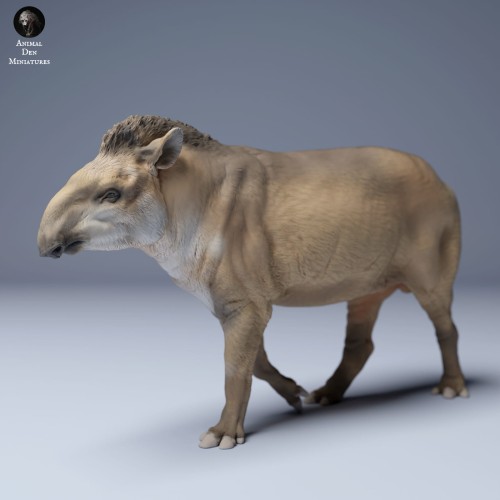 35130254_Brazillian_Tapir_Walk_3.jpg