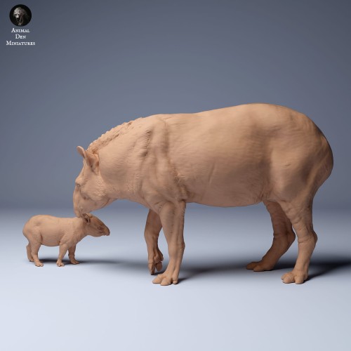 35130255_Brazillian_Tapir_Female_And_Calf_1.jpg